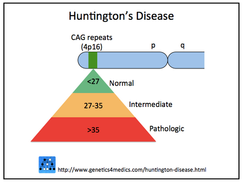 Huntington's disease CAG repeats