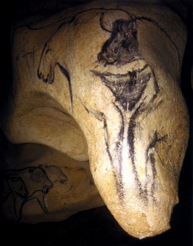 Cave Chauvet, France, bison, vulva, minotaur