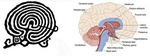 labyrinth petroglyph of Galicia; the human brain