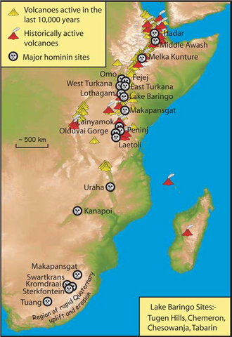 African Rift, hominin sites, volcanic activity