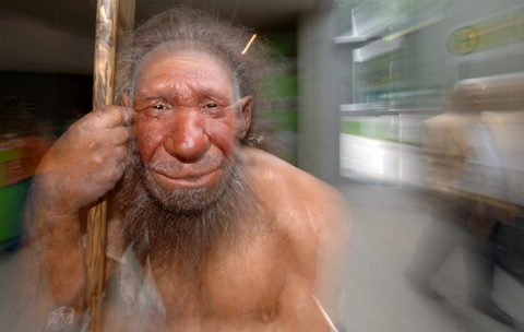 neandertal man