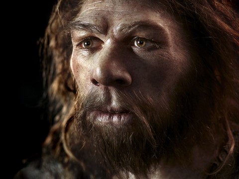 Neanderthal reconstruction by Entressangles, Daynes