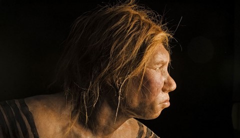 wilma, national geographic reconstituted neanderthal woman