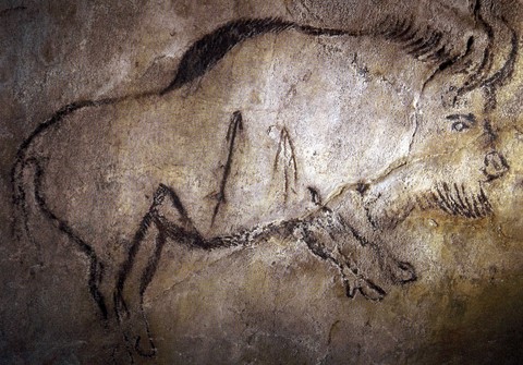 salon noir, niaux cave - bison dated 12,890 BC - palaeolithic
