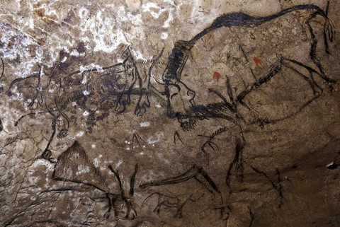 salon noir, niaux cave- palaeolithic cave - bisons - france