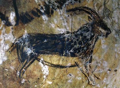 niaux cave - salon noir - ibex - palaeolithic