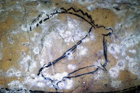 niaux cave - salon noir - deer - palaeolithic