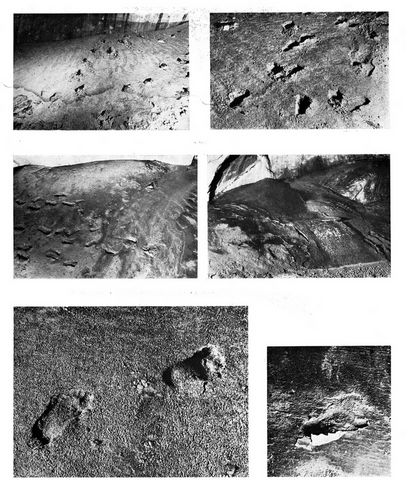 niaux cave, footprints, children adults