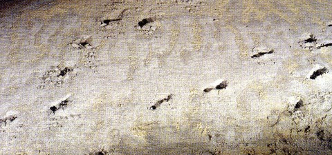 niaux cave - footprints