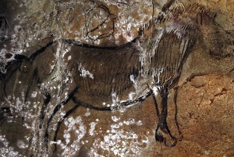 salon noir, niaux cave - horse - palaeolithic