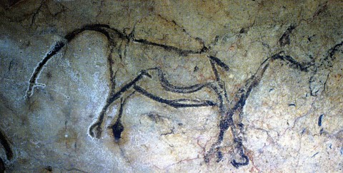 salon noir, niaux cave - salon noir - palaeolithic - horse