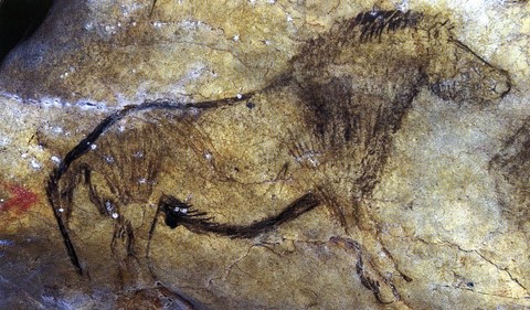 salon noir, niaux cave - horse - palaeolithic