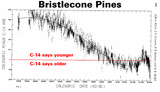 bristle-cone pines irish oaks phantom years