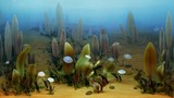 Ediacaran life before the Cambrian Explosion