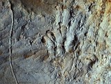 paleolithic-children's hands -Cave Cosquer France